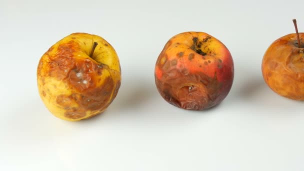 Multicolorido podre mimado amadurecido maçãs no fundo branco . — Vídeo de Stock