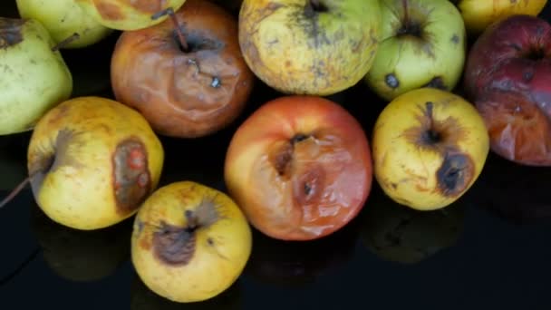 Veelkleurige rotte bedorven gerijpte appels op zwarte achtergrond. — Stockvideo