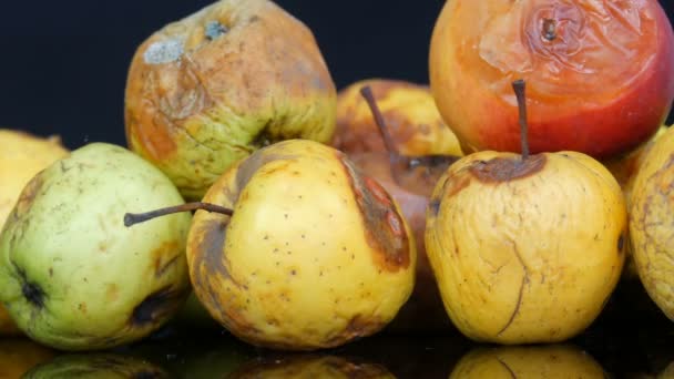 Manzanas maduras podridas multicolores sobre fondo negro . — Vídeos de Stock