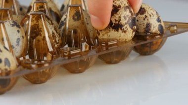Beyaz arka planda bıldırcın yumurtalarının yanındaki plastik kahverengi tepside taze bıldırcın eti.
