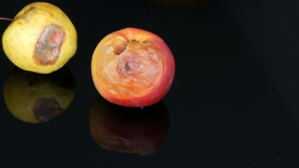 Multicolored rotten spoiled ripened apples on black background. — Stock Video