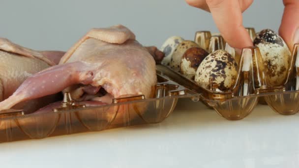 Čerstvé maso křepelek v plastovém hnědém tácu vedle křepelčích vajec na bílém pozadí. Ženské ruce dávají vajíčka do podnosu. — Stock video
