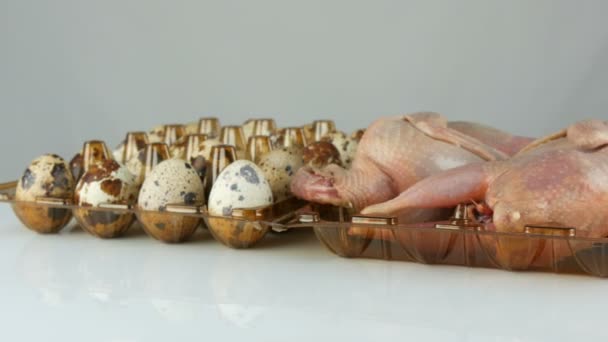 Свежее мясо перепела в пластиковом коричневом подносе рядом с перепелиными яйцами на белом фоне вращаются — стоковое видео