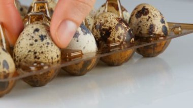 Beyaz arka planda bıldırcın yumurtalarının yanındaki plastik kahverengi tepside taze bıldırcın eti.