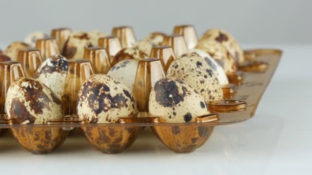 Viande fraîche de caille dans un plateau en plastique brun à côté des œufs de caille sur fond blanc tourner — Video