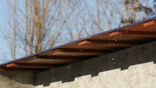 Droppar vatten rinner från taket. Smältande istappar under vårsolen — Stockvideo