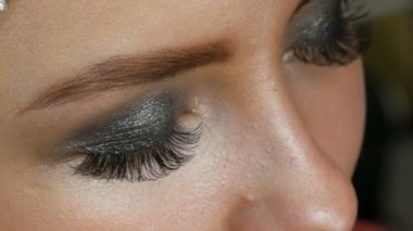 Profesyonel makyaj yüksek moda. Kız modeli özel bir Kaş fırçası ile kaş çizer. Şık dumanlı gözler.