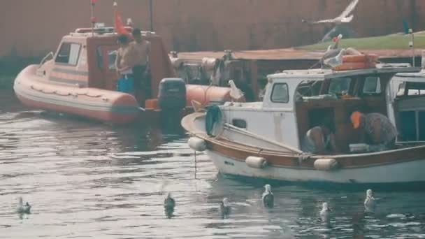 Istanbul, Turecko - 12. června 2019: Rybářské molo na moři Marmara s rybářskými čluny, rybáři a racky kroužícími kolem. — Stock video