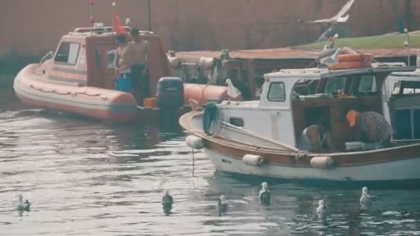 Istanbul, Turkey - June 12, 2019: Fishing pier on Sea of Marmara with fishing boats, fishermen and seagulls flying around. — Stock Footage Istanbul, Turkey - June 12, 2019: Fishing pier on Sea of Marmara with fishing boats, fishermen and seagulls flying around. Stock Video