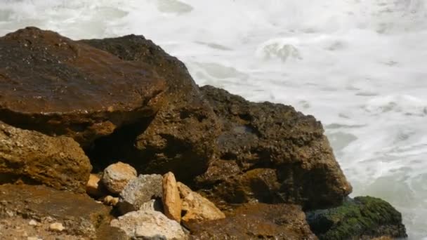 Las olas de tormenta golpean contra la costa rocosa — Vídeo de stock
