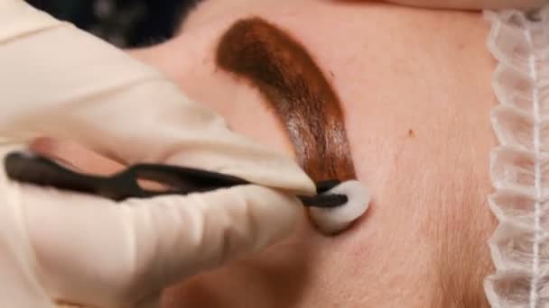 Sopracciglio dei capelli Microblading. Tatuaggio sopracciglio e trucco permanente. Estetista guantato applica l'anestesia alla pelle del sopracciglio — Video Stock