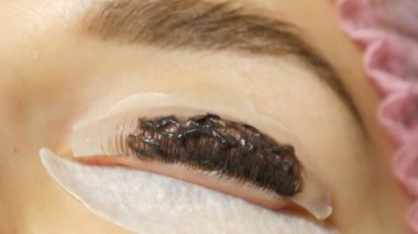 Özel siyah boyalı profesyonel kirpik boyası. Kirpikleri kıvırmak için silikon bigudiler ya da bigudiler