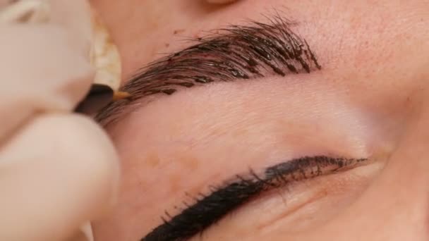 Mikropatenli kaş dövmesi, kalıcı makyaj. Eldivenlerde uzman, özel bir iğne kullanarak, cilde pigmenti enjekte eder ve kaş boyalarını saç tekniği ile lekeler, onları doğal, yakın çekim görüntü yapar. — Stok video