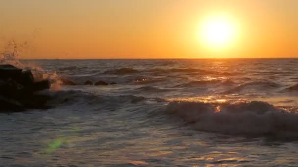 Soluppgång eller mycket vacker solnedgång på stranden. Sandstrand och vågor som slog på stranden. Stora stormvågor med skum — Stockvideo