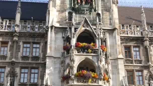 독일 뮌헨 - 2019 년 10 월 25 일: 뮌헨의 새 시청 이 다양 한 꽃으로 장식되다. 도시 의중심 광장 인 마리엔 플라스 — 비디오