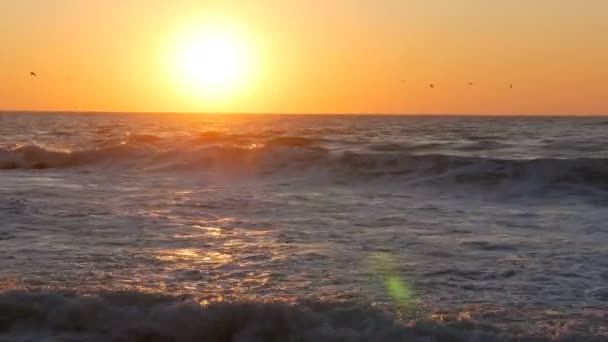 Alba o tramonto molto bello in riva al mare. Spiaggia sabbiosa e onde che battono sulla spiaggia. Grandi onde di tempesta con schiuma — Video Stock