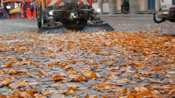 Szczotka do czyszczenia usuwająca żółte liście z jesiennej ulicy. Sprzątanie liści jesienią. Asfalt czyszczenia maszyn w Niemczech, Monachium — Wideo stockowe