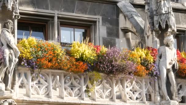 Munique, Alemanha - 25 de outubro de 2019: Parte da nova prefeitura de Munique é decorada com uma variedade de flores floridas. Marienplatz, a praça central da cidade — Vídeo de Stock