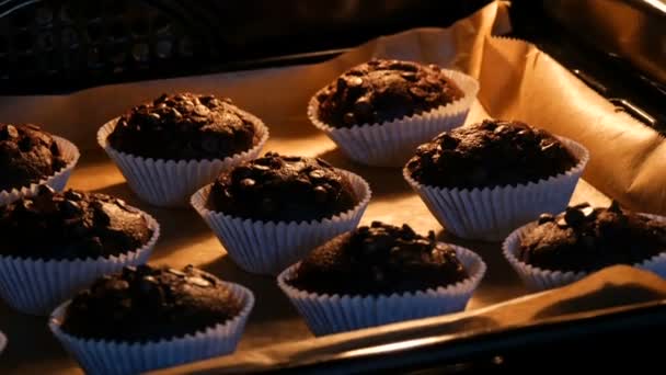 Köstliche Schokoladenmuffins werden im Ofen gekocht. Schokoladenmuffins in Papierformen, die mit Schokoladenpulver in Form von Würfeln bestreut sind — Stockvideo