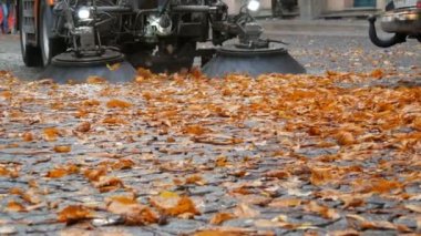 Sonbahar sokağından sonbaharda yaprakları temizleyen makine fırçasının yakın görüntüsü. Almanya 'da asfalt makinesi temizliği, Münih