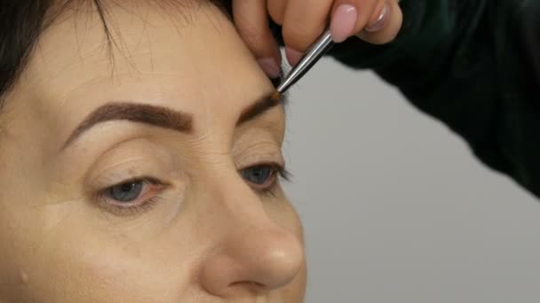 En speciell borste målar ögonbrynen med ögonbryns skuggor. Stäng vy. Professionell make-up artist gör smink till medelålders vuxen kvinna med vackra blå ögon. — Stockvideo