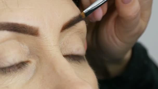 En speciell borste målar ögonbrynen med ögonbryns skuggor. Stäng vy. Professionell make-up artist gör smink till medelålders vuxen kvinna med vackra blå ögon. — Stockvideo