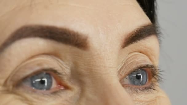 Спеціальний пензлик фарбує брови тінями брів. Близький погляд. Професійний візажист робить макіяж для дорослої жінки середнього віку з красивими блакитними очима . — стокове відео