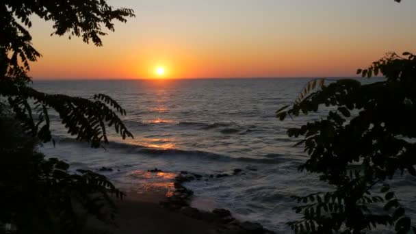 日の出や海岸では非常に美しい夕日。砂浜と波がビーチで打ちます。泡の大きな嵐の波 — ストック動画