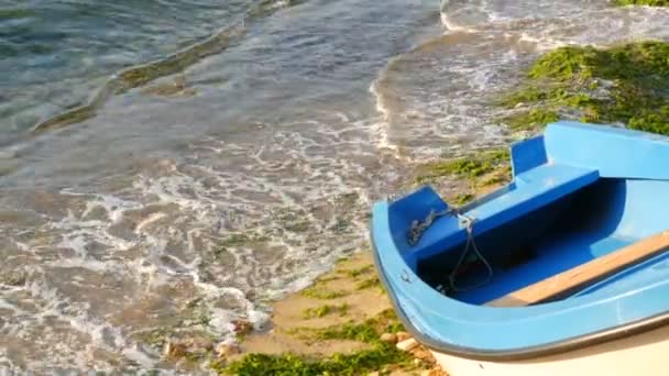 嵐の後に放り投げられた緑の藻類である海岸の空の青と白のボート。泡で波が海岸に打ち寄せる — ストック動画