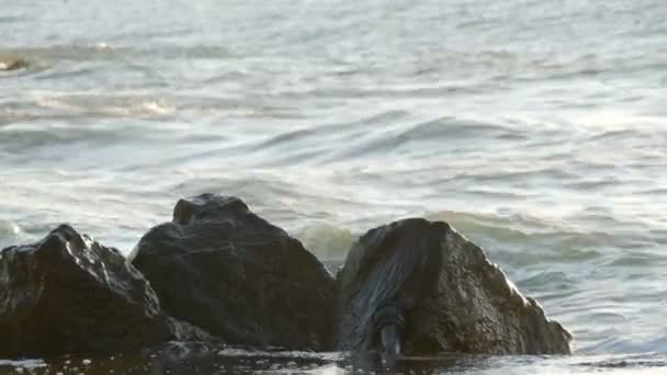 Giornata di sole in riva al mare. Grandi onde lavano la costa rocciosa del Mar Nero, Bulgaria — Video Stock