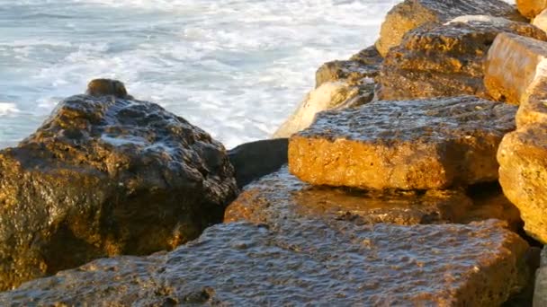 Sonniger Tag am Meer. Große Wellen spülen die felsige Küste des Schwarzen Meeres, Bulgarien — Stockvideo