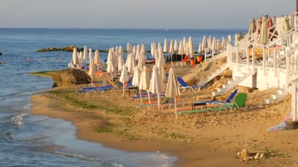Роскошный отдых на Черном море, Болгария. Пустые разноцветные шезлонги или шезлонги и сложенные пляжные зонтики на курортном пляже — стоковое видео