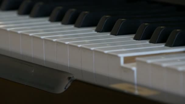 İlginç mistik kendi kendine çalan piyano. Kendi kendine çalan siyah beyaz piyano tuşları. — Stok video
