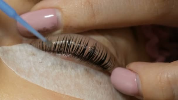 Professional beautician cleans eyelashes from the paint that colored eyelashes to young beautiful woman — Stock Video
