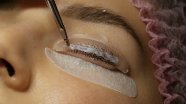 Professionell ögonfrans förbättring i en skönhetssalong. Speciellt medel appliceras på ögonfransar — Stockvideo