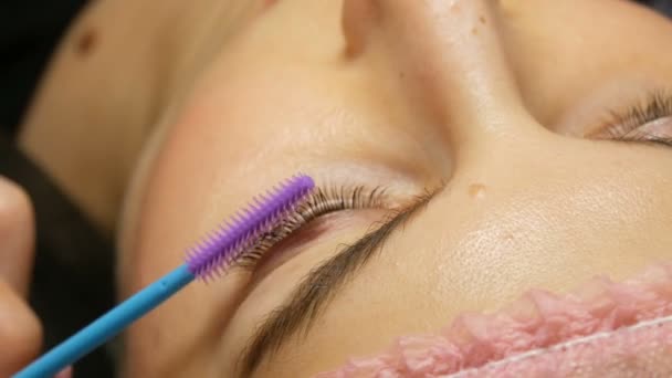 A special silicone brush comb combing long eyelashes to a client in beauty salon after lamination of eyelashes — Stockvideo