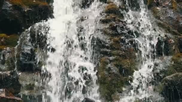 Piedras de musgo verde en las montañas Cárpatas. Cascada maravillosa cascada de montaña cae cerca de las grandes rocas grises — Vídeos de Stock