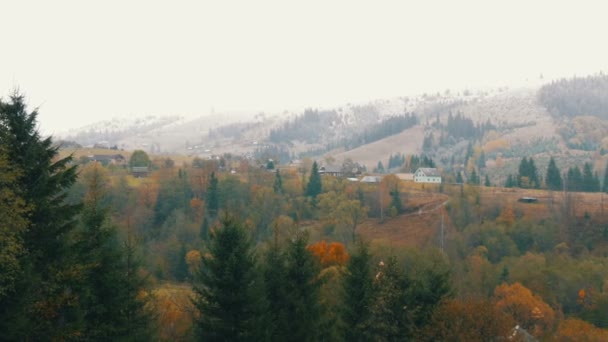 Montagne carpatiche coperte di prima neve, felci, abeti rossi e alberi — Video Stock