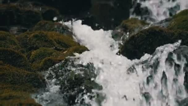 Large old massive black stones covered with green moss on which water flows from mountain transparent stream — Stock Video