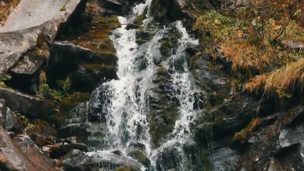 Зеленый мох камни в Карпатах. Прекрасный горный водопад каскад падает рядом с большими серыми скалами — стоковое видео