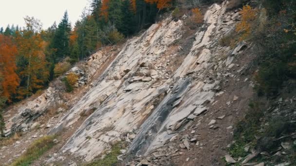 様々な葉を持つ秋の木が成長する白い岩と山の土壌。ウクライナのカルパチア山脈 — ストック動画