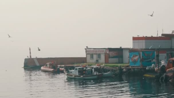 Istanbul, Turkey - June 12, 2019: Fishing pier on Sea of Marmara with fishing boats, fishermen and seagulls flying around. — ストック動画