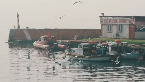 Stambuł, Turcja - 12 czerwca 2019: Molo rybackie na Morzu Marmara z kutrami rybackimi, rybakami i mewami latającymi dookoła. — Wideo stockowe