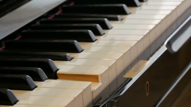 Zelf piano spelen. Zwarte piano keyboard close-up. — Stockvideo