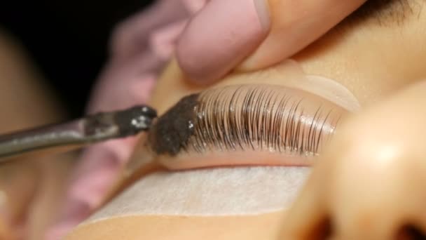 Professionelle Wimpernfärbung mit einer speziellen schwarzen Farbe. Silikon-Lockenwickler oder Rollen zum Curling Wimpern Größe m. — Stockvideo