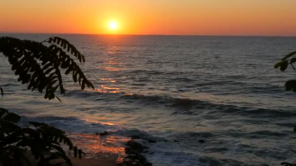 Zonsopkomst of zeer mooie zonsondergang aan de kust. Zandstrand en golven die op het strand kloppen. Grote stormgolven met schuim — Stockvideo