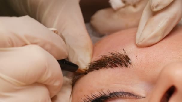 Tatuaje de cejas Microblading, maquillaje permanente. Master en guantes, con aguja especial, inyecta pigmento en la piel y tiñe las cejas usando la técnica de pelo, haciéndolas naturales, vista de cerca — Vídeos de Stock