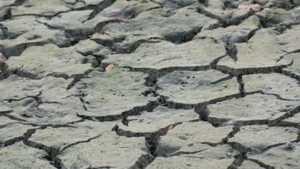 Terra seca com muitas rachaduras. Seca natural. Lago seco com textura natural de barro rachado. Campo do Vale da Morte. Conceito do Dia da Terra — Vídeo de Stock