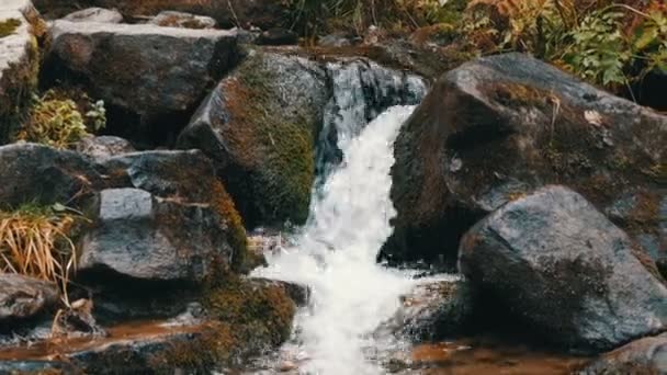 喀尔巴阡山脉的绿色苔藓石。 美丽的瀑布瀑布落在灰色的大岩石附近 — 图库视频影像