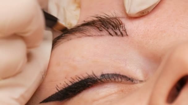 Microblading Augenbrauen-Tätowierung, permanentes Make-up. Der Meister in Handschuhen spritzt mit einer speziellen Nadel Pigment in die Haut und färbt die Augenbrauen mit Haartechnik, so dass sie aus nächster Nähe betrachtet werden können. — Stockvideo